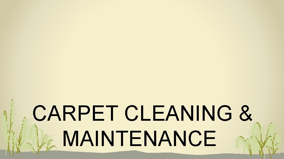 CARPET CLEANING & MAINTENANCE 