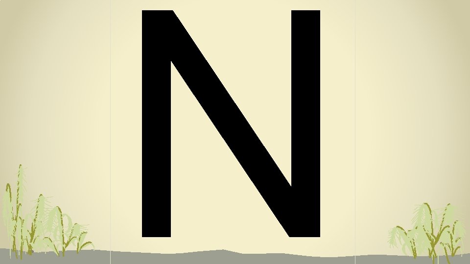 N 