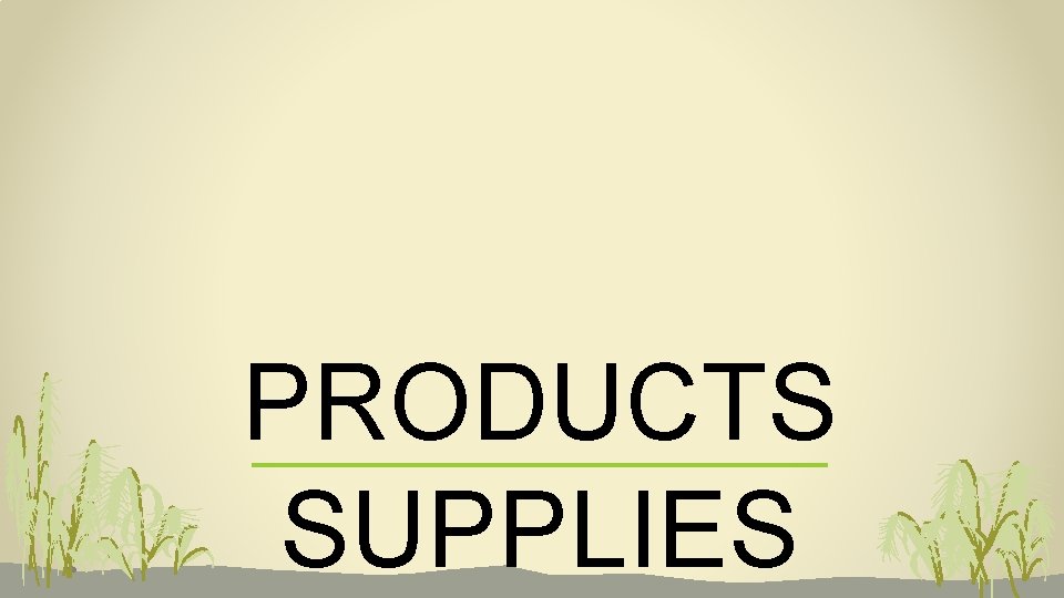 PRODUCTS SUPPLIES 