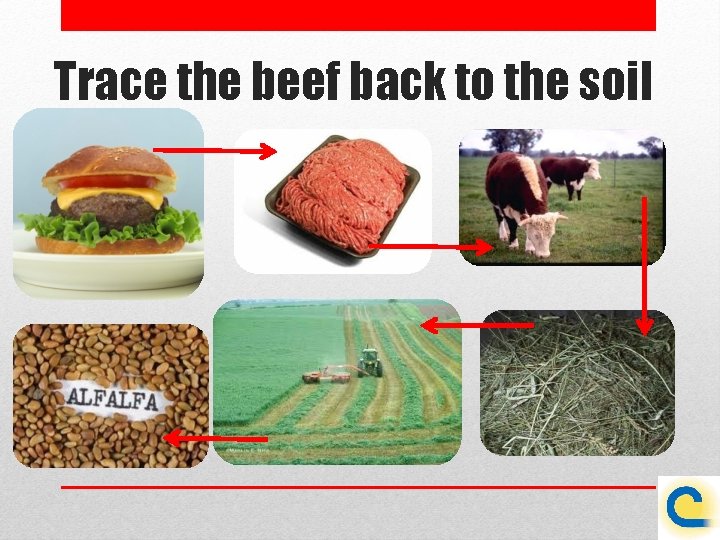 Trace the beef back to the soil 