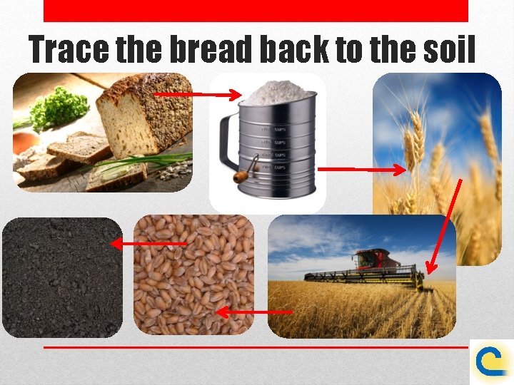 Trace the bread back to the soil 