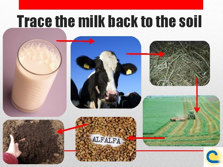 Trace the milk back to the soil 