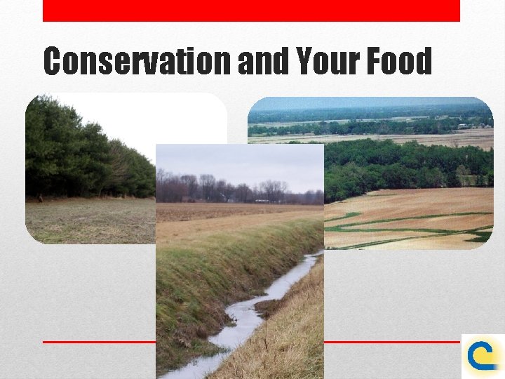 Conservation and Your Food 