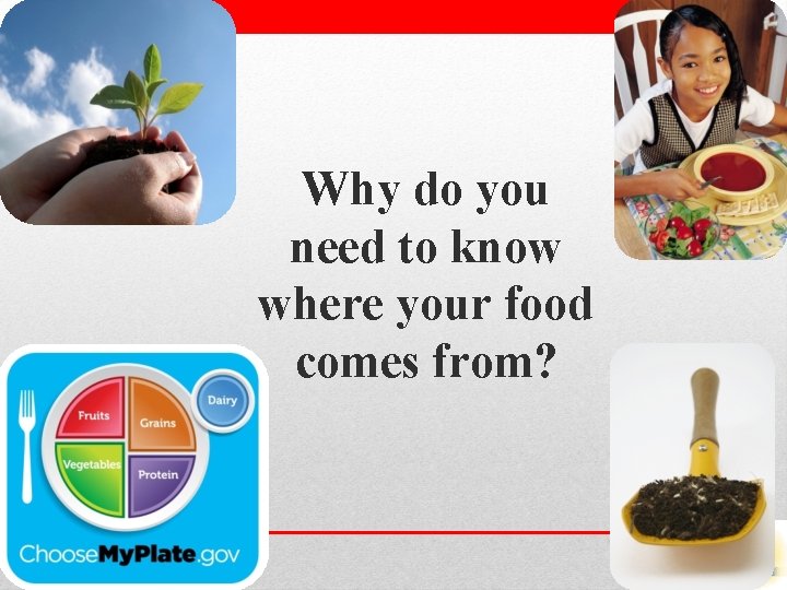 Why do you need to know where your food comes from? 