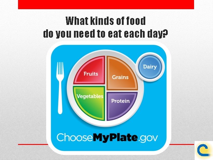 What kinds of food do you need to eat each day? 