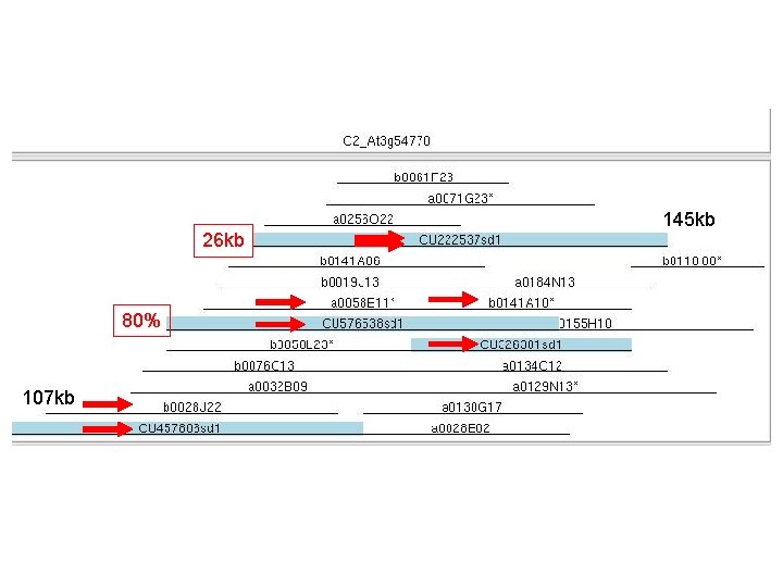 26 kb 80% 107 kb 145 kb 26 kb 80% 107 kb 145 kb