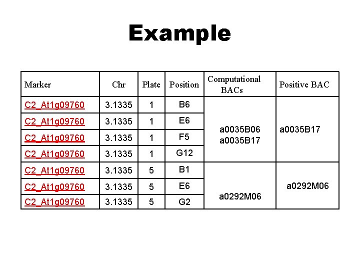 Example Marker Chr Plate Position C 2_At 1 g 09760 3. 1335 1 B Example Marker Chr Plate Position C 2_At 1 g 09760 3. 1335 1 B
