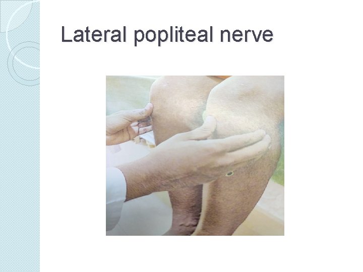 Lateral popliteal nerve 