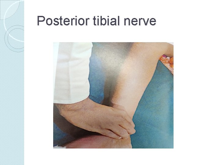 Posterior tibial nerve 