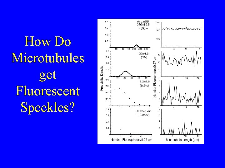 How Do Microtubules get Fluorescent Speckles? 