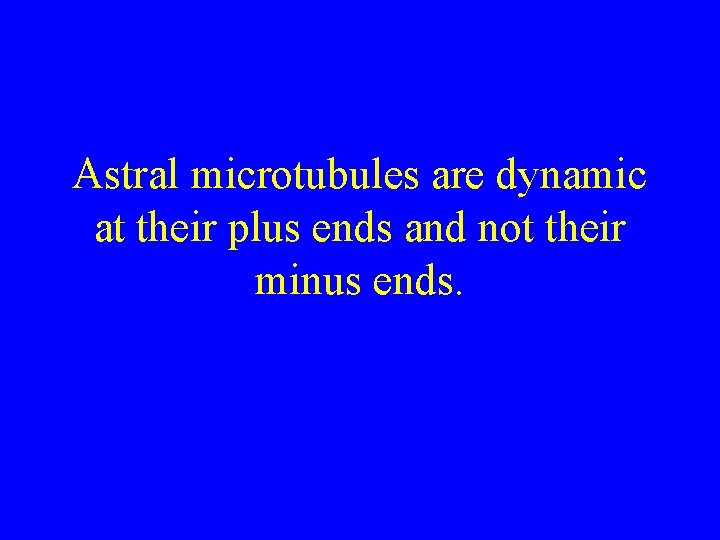 Astral microtubules are dynamic at their plus ends and not their minus ends. 