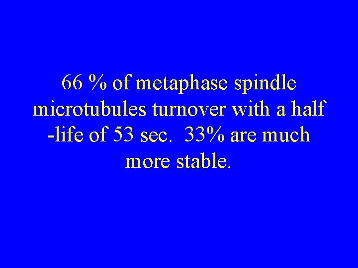 66 % of metaphase spindle microtubules turnover with a half -life of 53 sec.
