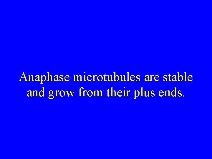 Anaphase microtubules are stable and grow from their plus ends. 