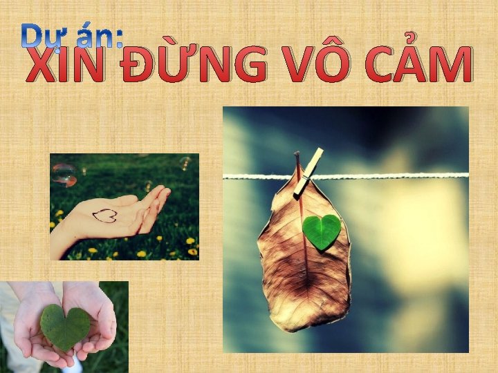 XIN ĐỪNG VÔ CẢM 