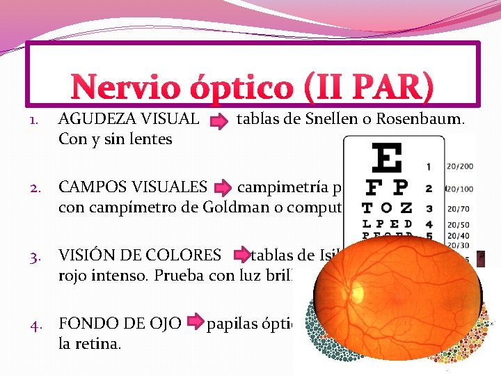 Nervio óptico (II PAR) 1. AGUDEZA VISUAL Con y sin lentes tablas de Snellen