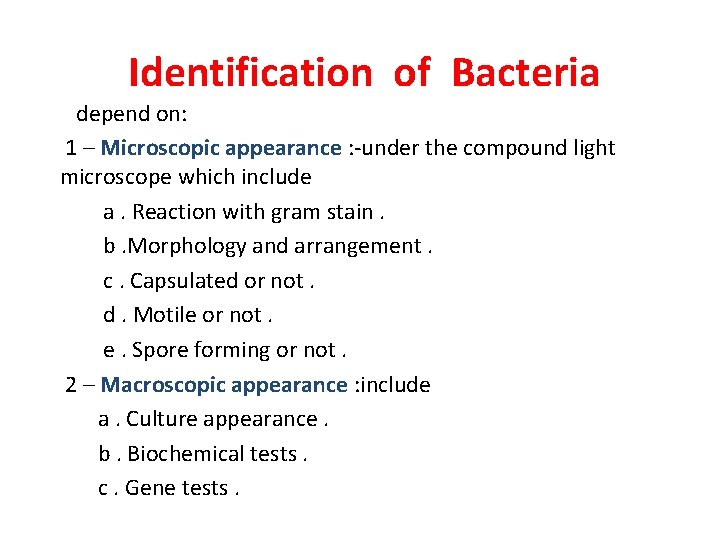 Identification of Bacteria depend on: 1 – Microscopic appearance : -under the compound light