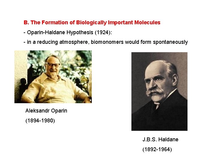 B. The Formation of Biologically Important Molecules - Oparin-Haldane Hypothesis (1924): - in a