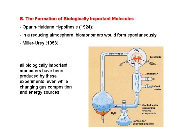 B. The Formation of Biologically Important Molecules - Oparin-Haldane Hypothesis (1924): - in a