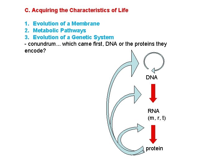 C. Acquiring the Characteristics of Life 1. Evolution of a Membrane 2. Metabolic Pathways