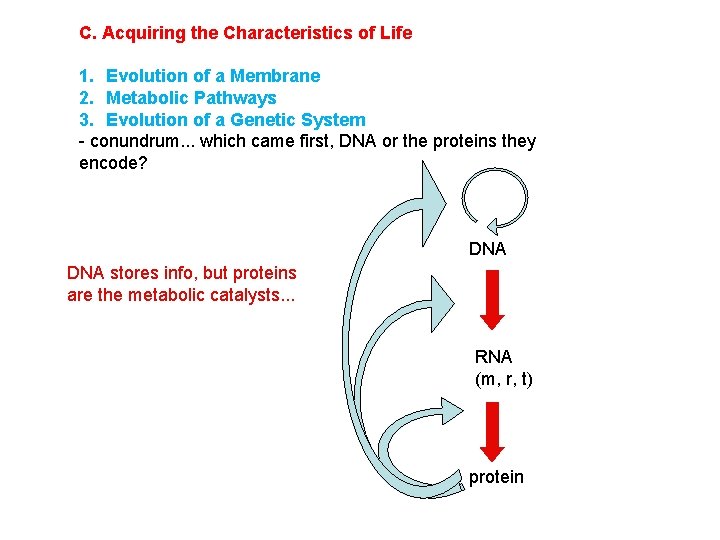 C. Acquiring the Characteristics of Life 1. Evolution of a Membrane 2. Metabolic Pathways