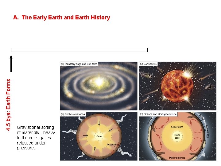 4. 5 bya: Earth Forms A. The Early Earth and Earth History Graviational sorting