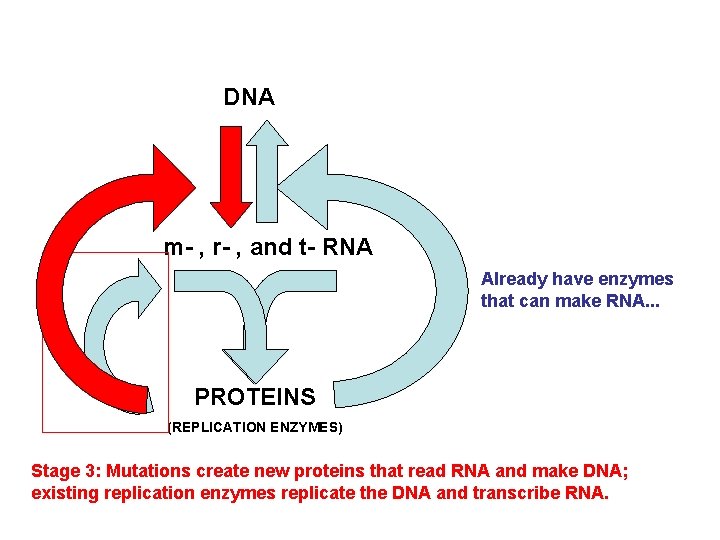 DNA m- , r- , and t- RNA Already have enzymes that can make