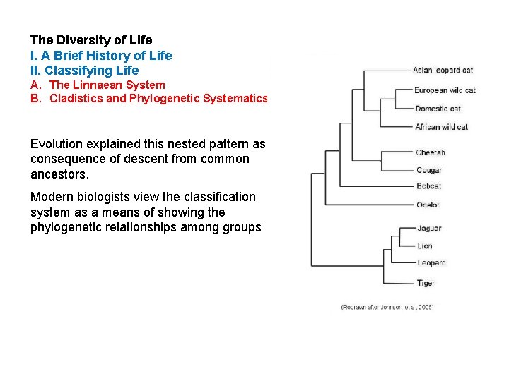 The Diversity of Life I. A Brief History of Life II. Classifying Life A.