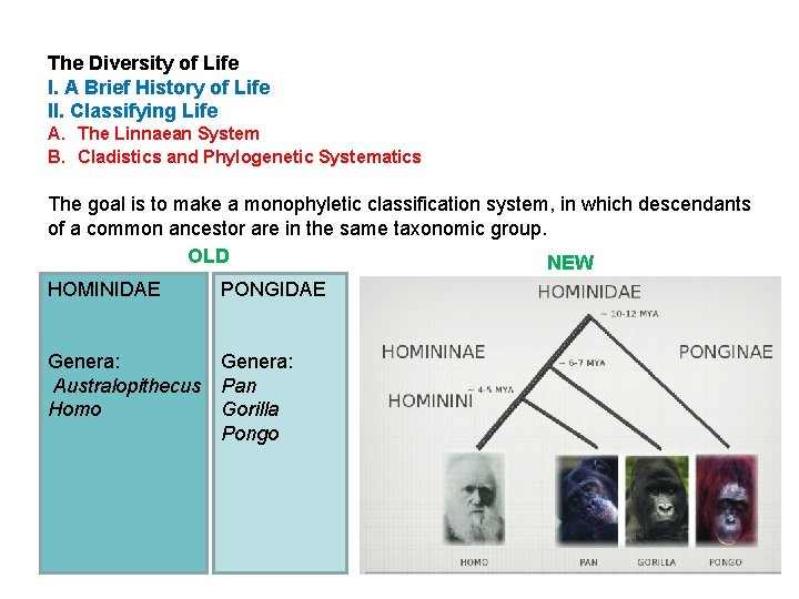 The Diversity of Life I. A Brief History of Life II. Classifying Life A.