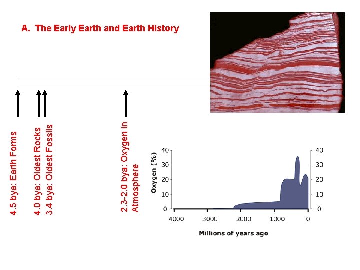 2. 3 -2. 0 bya: Oxygen in Atmosphere 4. 0 bya: Oldest Rocks 3.