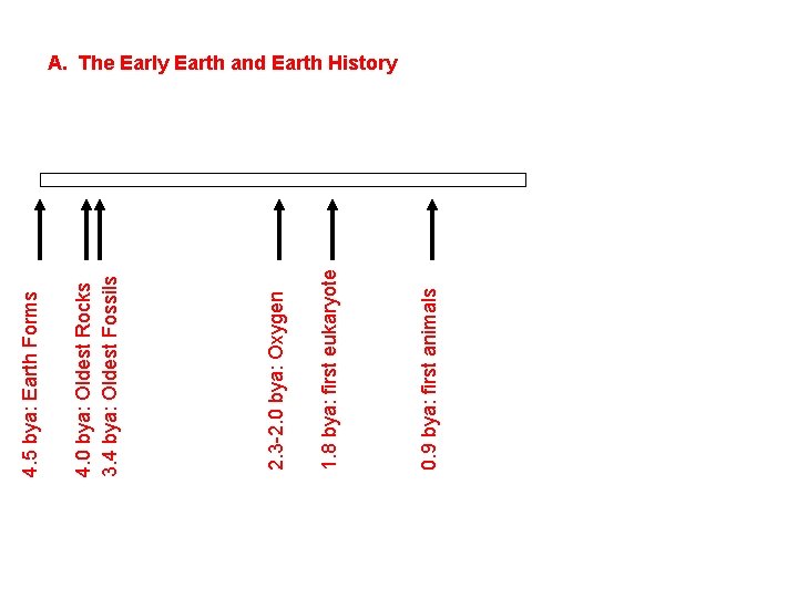 0. 9 bya: first animals 1. 8 bya: first eukaryote 2. 3 -2. 0