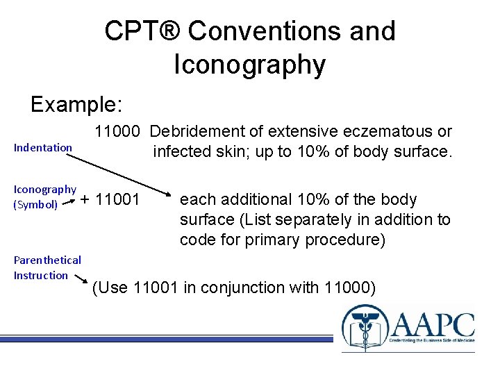 CPT® Conventions and Iconography Example: Indentation 11000 Debridement of extensive eczematous or infected skin;