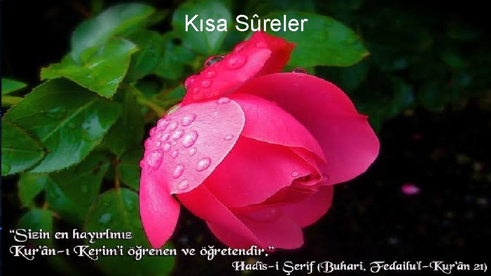 Kısa Sûreler 