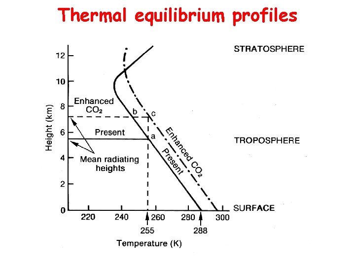 Thermal equilibrium profiles 