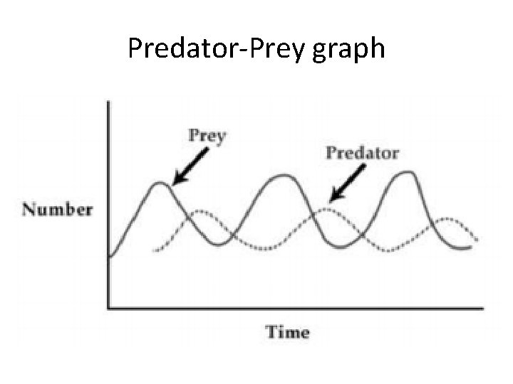 Predator-Prey graph 