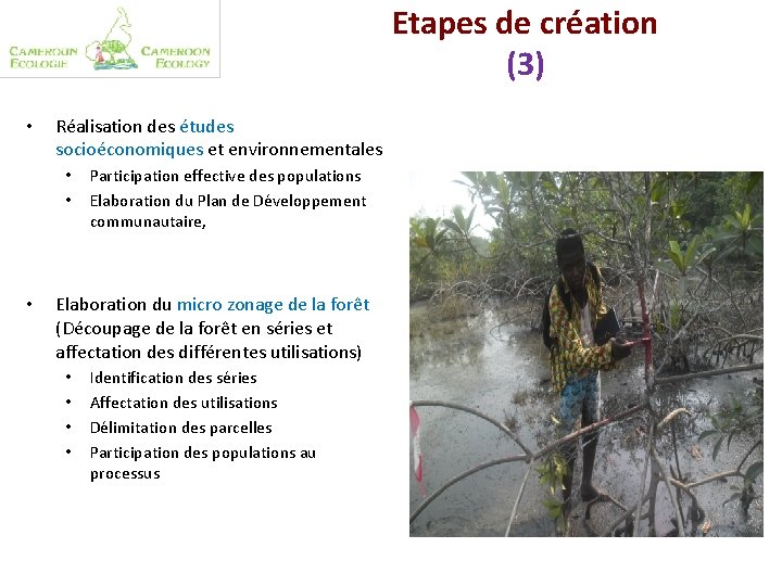 Etapes de création (3) • Réalisation des études socioéconomiques et environnementales • • •