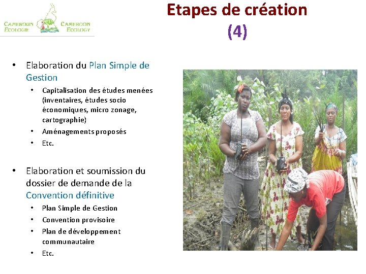 Etapes de création (4) • Elaboration du Plan Simple de Gestion • • •