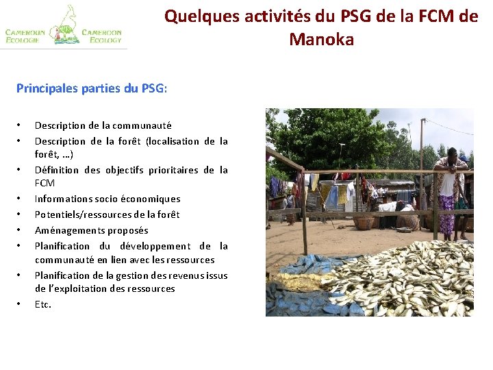 Quelques activités du PSG de la FCM de Manoka Principales parties du PSG: •