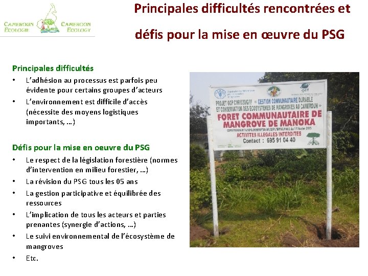 Principales difficultés rencontrées et défis pour la mise en œuvre du PSG Principales difficultés