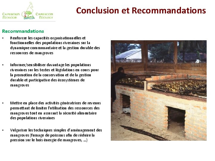 Conclusion et Recommandations • Renforcer les capacités organisationnelles et fonctionnelles des populations riveraines sur