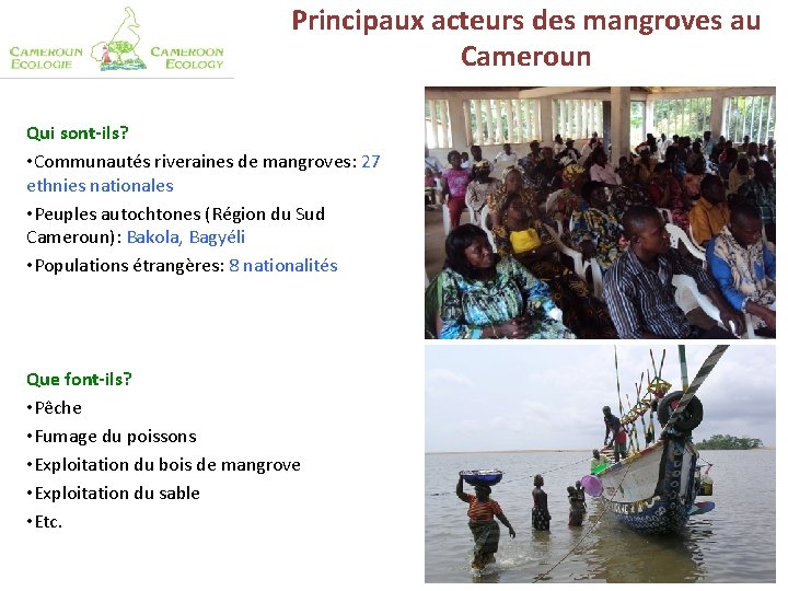 Principaux acteurs des mangroves au Cameroun Qui sont-ils? • Communautés riveraines de mangroves: 27