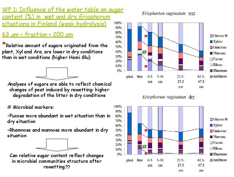 WP 1: Influence of the water table on sugar content (%) in wet and