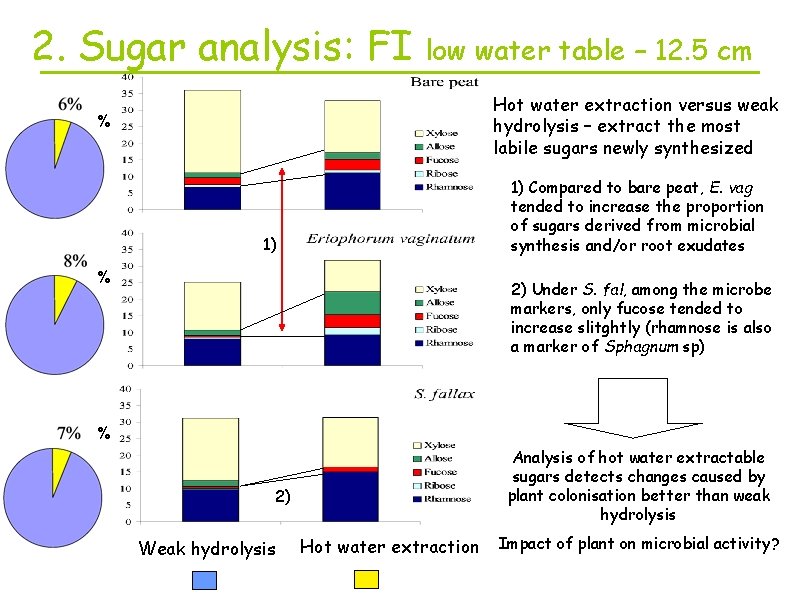 2. Sugar analysis: FI low water table – 12. 5 cm Hot water extraction
