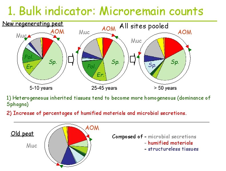 1. Bulk indicator: Microremain counts New regenerating peat AOM Muc Pol. Er. Sp. AOM