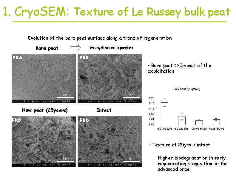 1. Cryo. SEM: Texture of Le Russey bulk peat Evolution of the bare peat