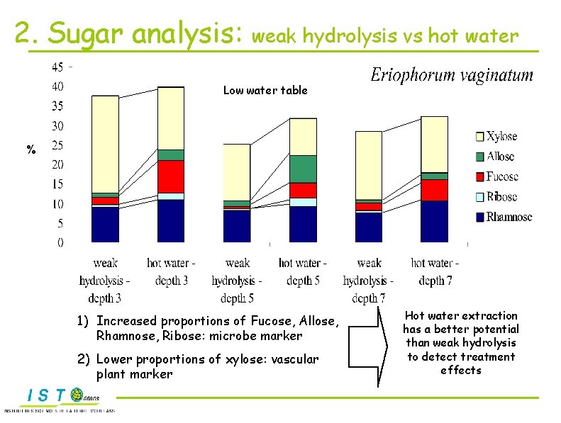 2. Sugar analysis: weak hydrolysis vs hot water Low water table % 1) Increased