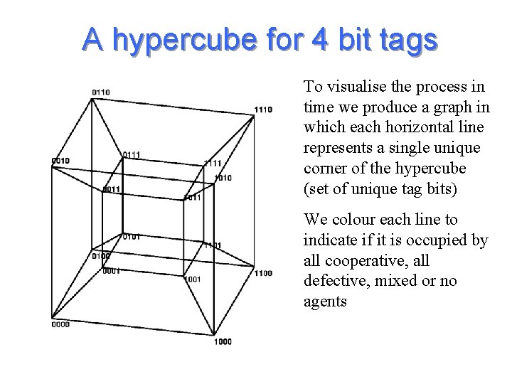 A hypercube for 4 bit tags To visualise the process in time we produce