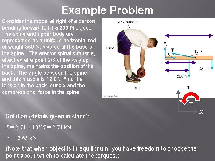 Example Problem Consider the model at right of a person bending forward to lift