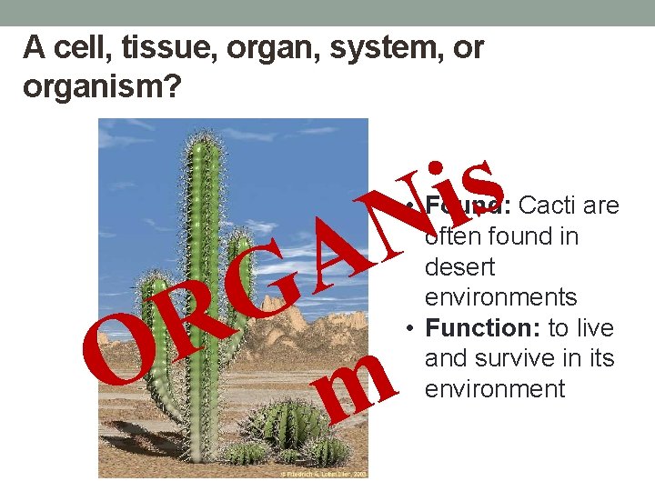 A cell, tissue, organ, system, or organism? s i N A G R O
