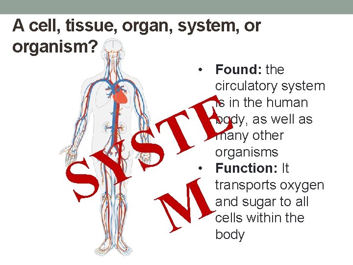 A cell, tissue, organ, system, or organism? E T S Y S • Found: