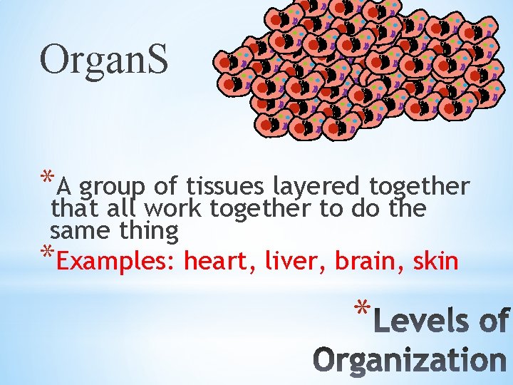 Organ. S *A group of tissues layered together that all work together to do